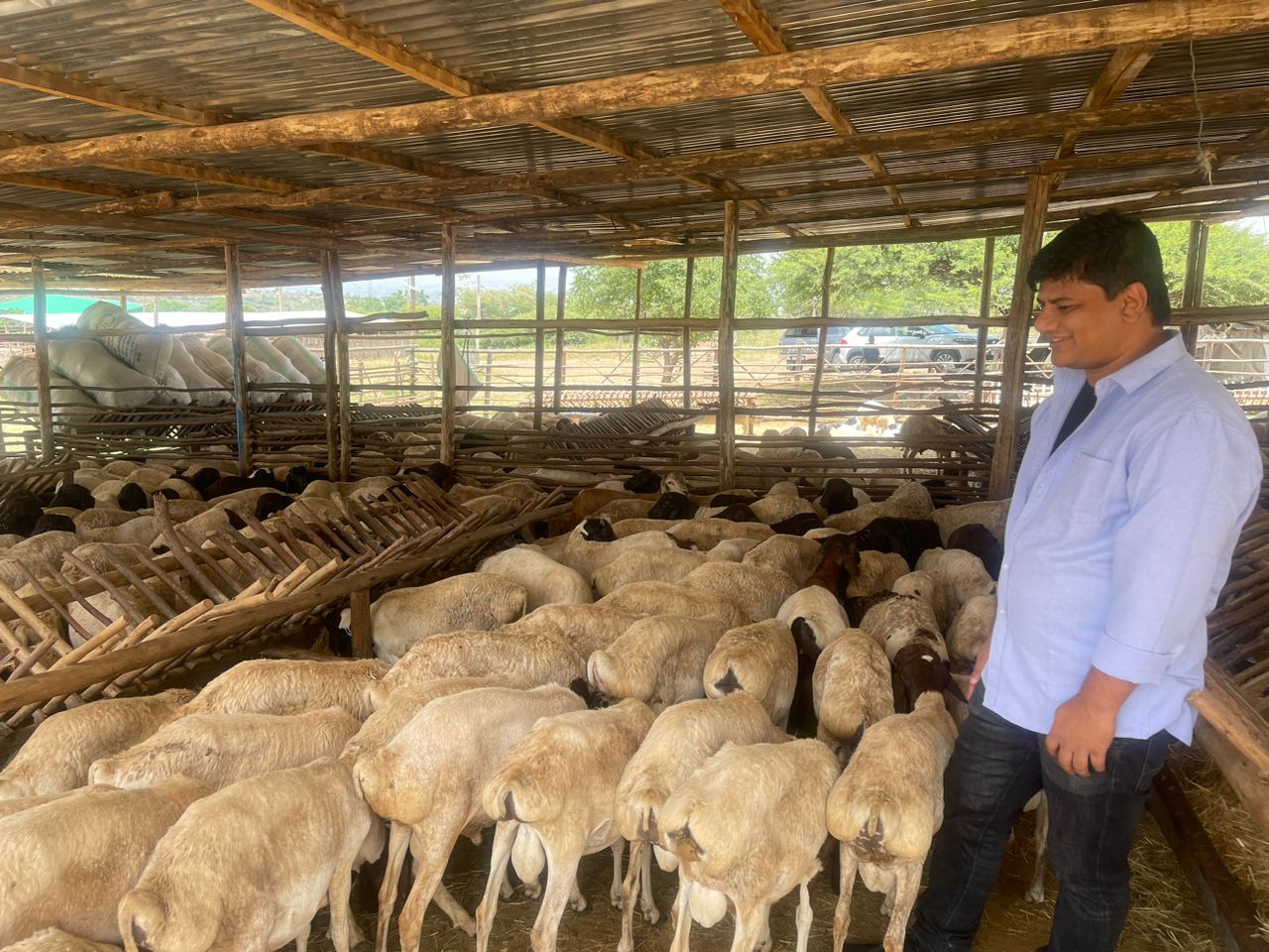 Visiting a livestock farm